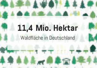 Aktueller Fächenverbrauch im Forst