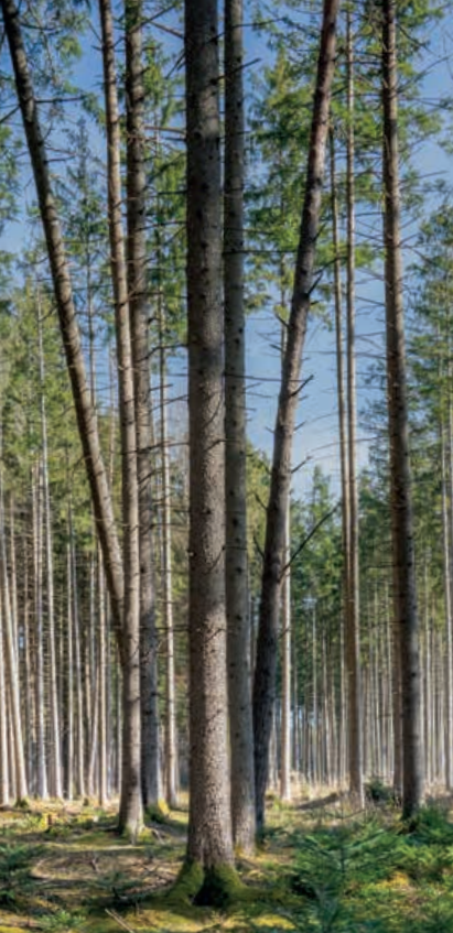 Wo Winenergieprojekte geplant werden Dürfen und wo nicht!