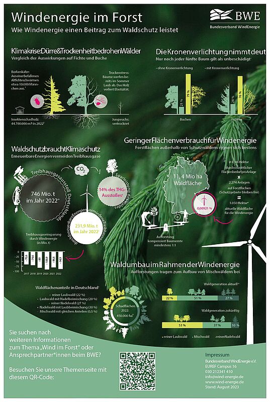 Windenergie im Forst
